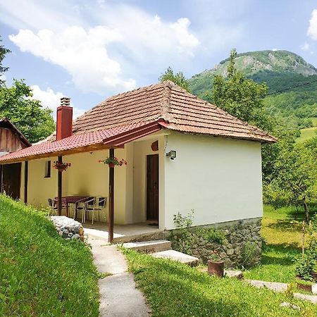 Farmstead Green Haven Mojkovac Εξωτερικό φωτογραφία