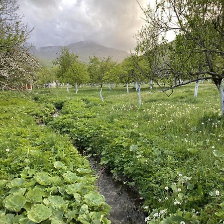 Farmstead Green Haven Mojkovac Εξωτερικό φωτογραφία