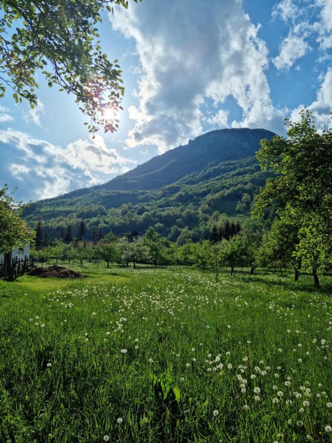 Farmstead Green Haven Mojkovac Εξωτερικό φωτογραφία