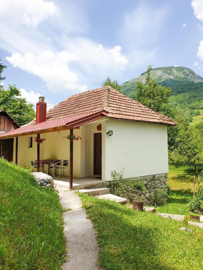 Farmstead Green Haven Mojkovac Εξωτερικό φωτογραφία