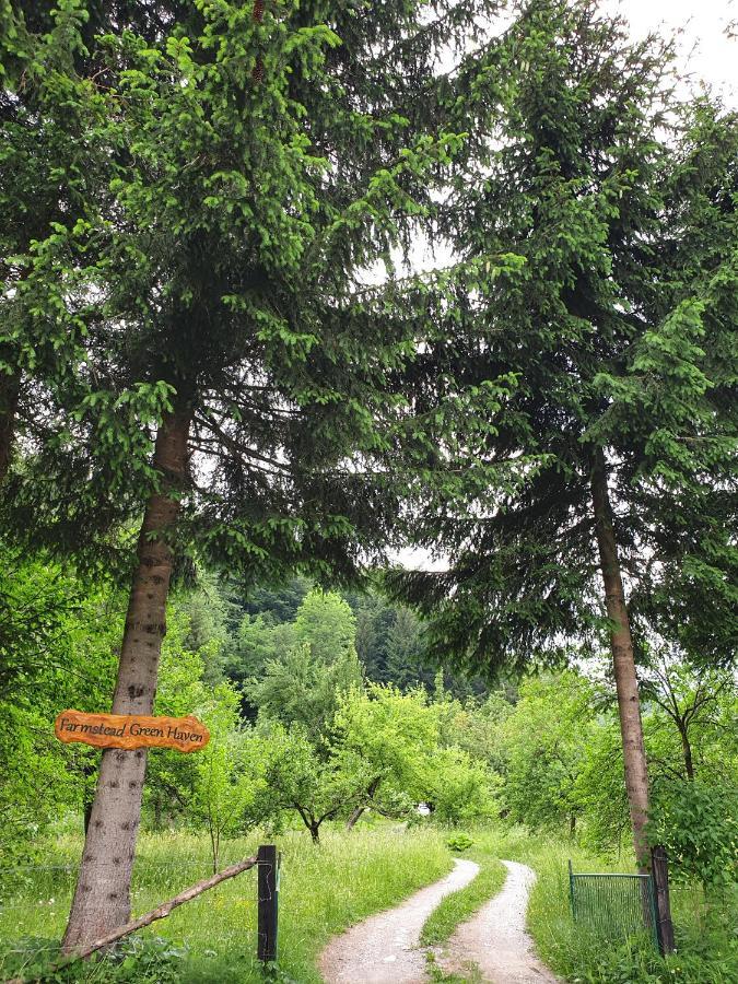 Farmstead Green Haven Mojkovac Εξωτερικό φωτογραφία