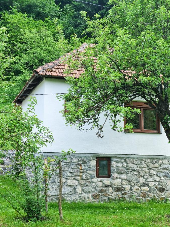 Farmstead Green Haven Mojkovac Εξωτερικό φωτογραφία