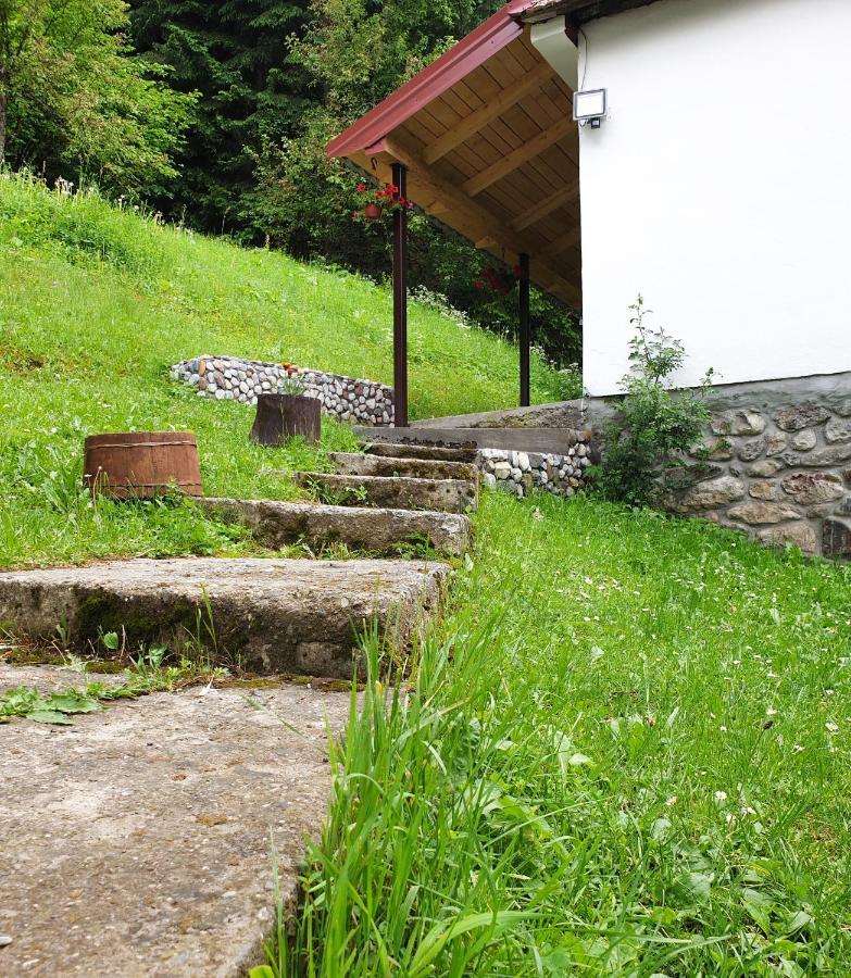 Farmstead Green Haven Mojkovac Εξωτερικό φωτογραφία