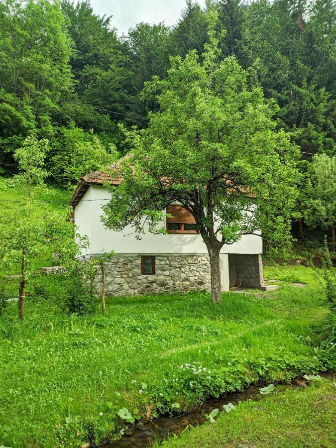 Farmstead Green Haven Mojkovac Εξωτερικό φωτογραφία