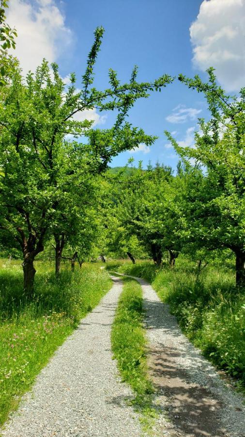 Farmstead Green Haven Mojkovac Εξωτερικό φωτογραφία
