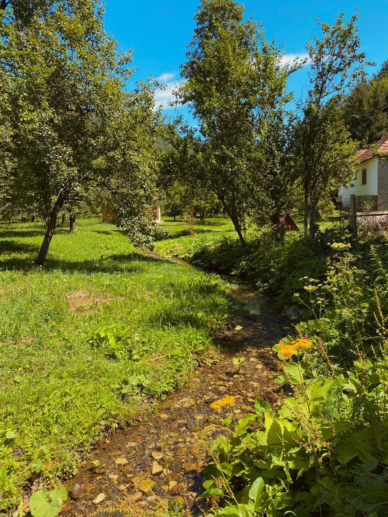 Farmstead Green Haven Mojkovac Εξωτερικό φωτογραφία