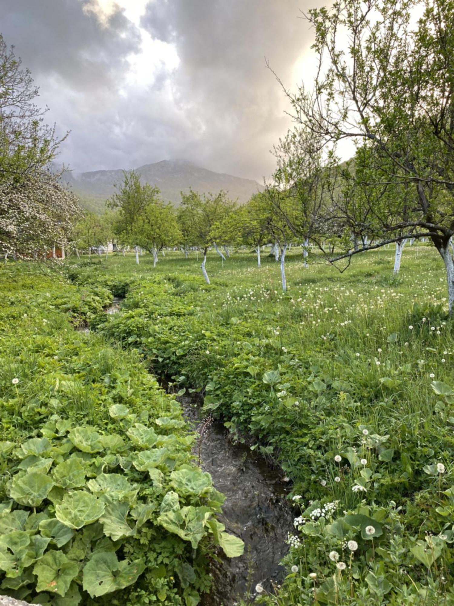 Farmstead Green Haven Mojkovac Εξωτερικό φωτογραφία